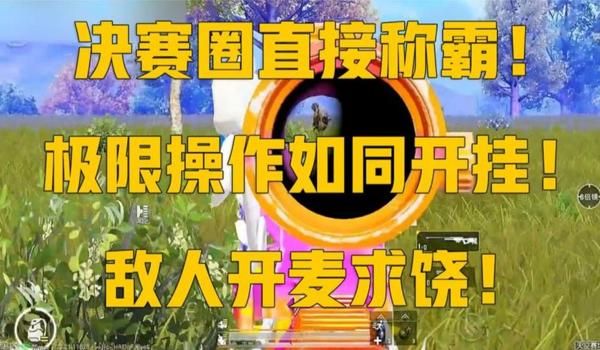 和平精英开挂神器软件怎么下载（使用和平精英开挂神器软件会面临哪些风险？）