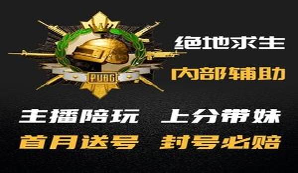 PUBG透视自瞄辅助器免费版更新内容（pubg透视自瞄辅助器免费版在2024年更新了哪些新功能？）